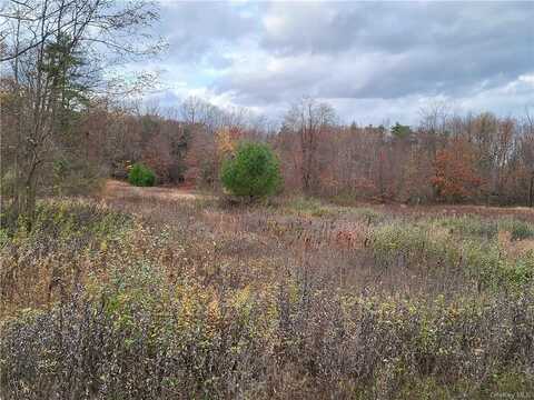 Ashley Drive - Lot 5, Rosendale, NY 12472