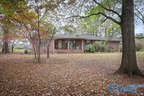 3113 E Upper River Road, Decatur, AL 35603