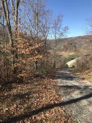 TBD Mud Lick Road, Roanoke, WV 26447