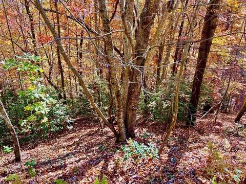 13 Up The Ridge Road, Blairsville, GA 30512