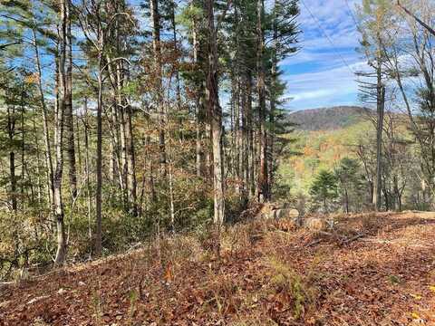 1.9 Acre Bell Camp Ridge Road, Blue Ridge, GA 30513