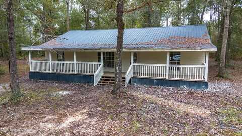 163 Burnis Havard Road, Perkinston, MS 39573