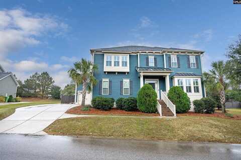 1064 Portrait Hill, Chapin, SC 29036