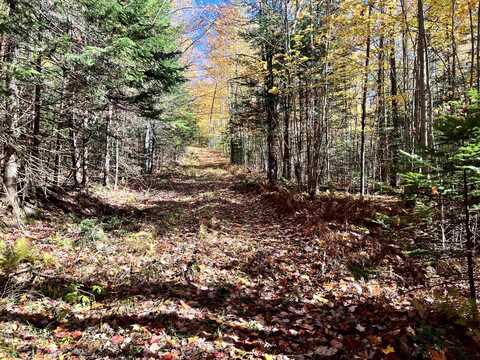 - Willoughby Lake Road, Barton, VT 05822