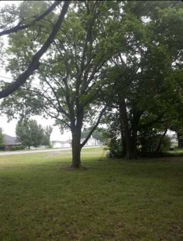 603 E Fannin Street, Leonard, TX 75452