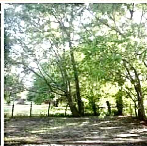 603 E Fannin Street, Leonard, TX 75452