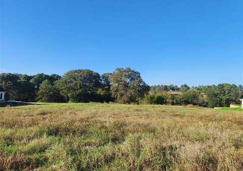 Lot 155 Lago Vista Drive, Athens, TX 75752