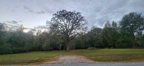 266 Copeland Road, Grady, AL 36036