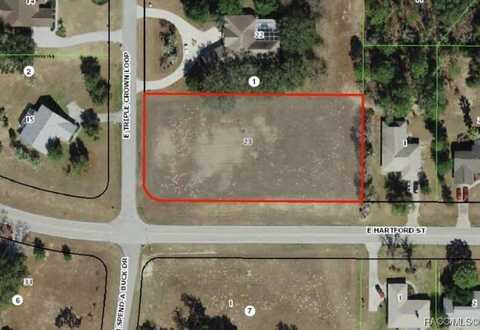 1399 E Triple Crown Loop, Hernando, FL 34442