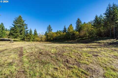 NE Livingston Mountain CT, Camas, WA 98607