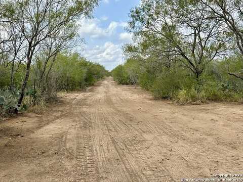 CR 421, Christine, TX 78064