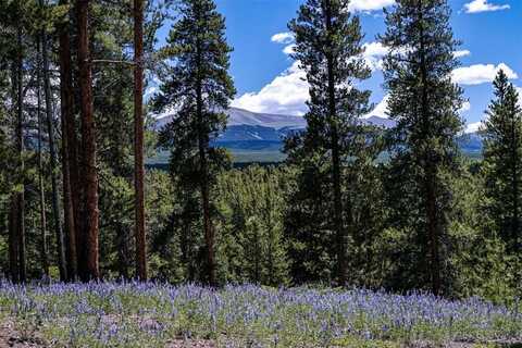 14 ELK TRAIL, Leadville, CO 80461