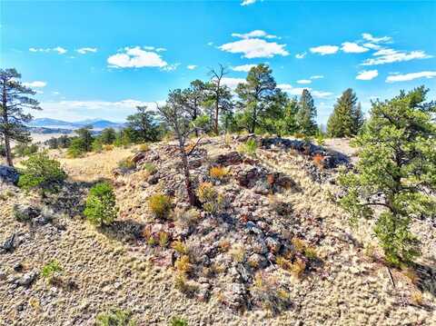 3433 DOG CHIEF TRAIL, Hartsel, CO 80449