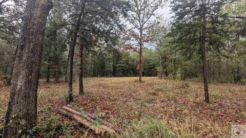 2832 FM 44 East, DeKalb, AR 75559