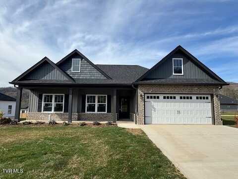 115 Ervin, Erwin, TN 37650