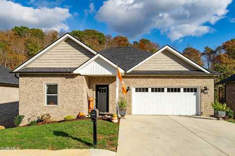 191 Quiet Stroll Lane, Gray, TN 37615