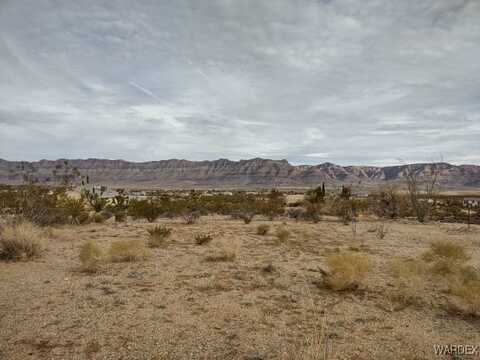 1398 W Overton Drive, Meadview, AZ 86444