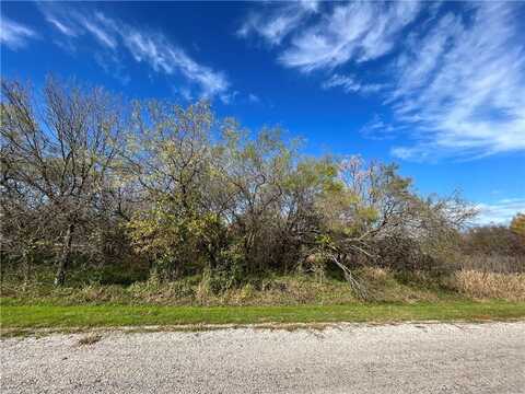 23030 Westmeadow Drive, Whitney, TX 76692