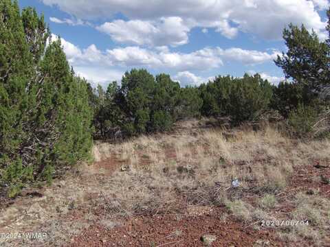 1783 Bemus Place, Show Low, AZ 85901