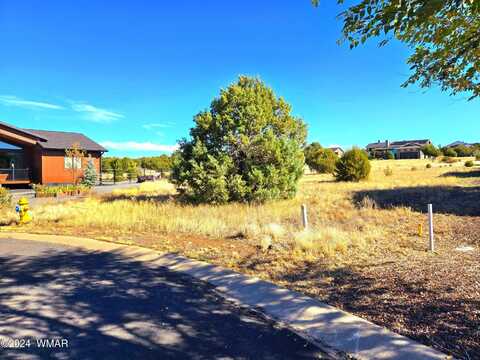 581 S Creekside Drive, Show Low, AZ 85901