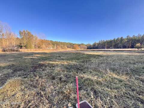 2445 S Jan Lane, Pinetop, AZ 85935