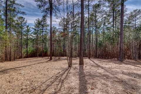 Lot 21 Grays Peak Drive, Salem, SC 29676