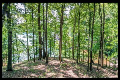 Lot 62 Hearthstone Way, Salem, SC 29676