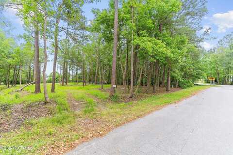 Pine Needle, HAMPSTEAD, NC 28443