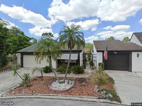 Bridle Path, HUDSON, FL 34667