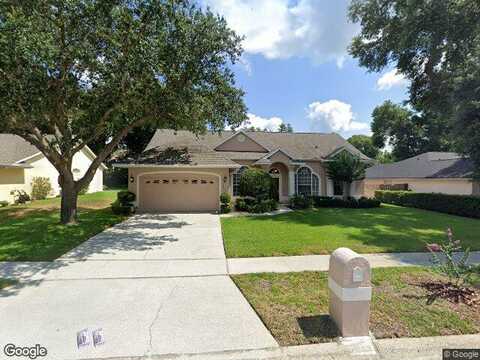 Queen Palm, APOPKA, FL 32712