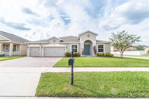 Alligator, SAINT CLOUD, FL 34771