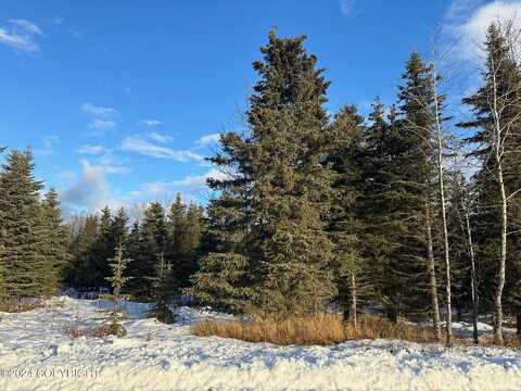 66386 Aspen Avenue, Ninilchik, AK 99639