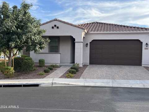 19707 W HEATHERBRAE Drive, Litchfield Park, AZ 85340