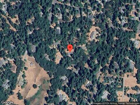 Mountain Lion, GRASS VALLEY, CA 95949