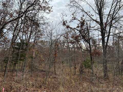 Partridge Drive, Climax Springs, MO 65324