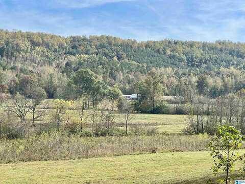 1045 SAND VALLEY ROAD, REMLAP, AL 35133