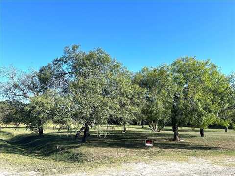 0 E Merriman Street, Sinton, TX 78387