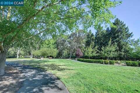 Golden Rain Rd, Walnut Creek, CA 94595