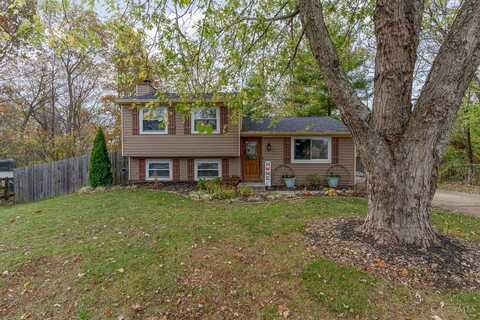 4233 Seclusion Court, Batavia, OH 45103