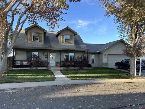 3157 Crows Nest Court, Montrose, CO 81401