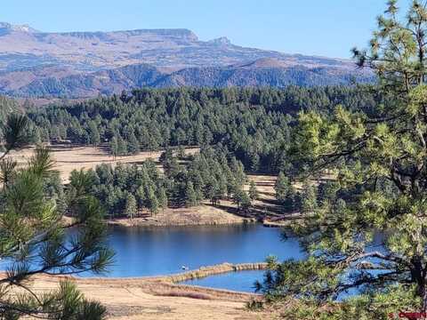 21 Echo Lake Access Easement, Pagosa Springs, CO 81147