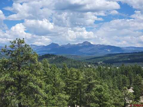 2 Echo Lake Access Easement, Pagosa Springs, CO 81147