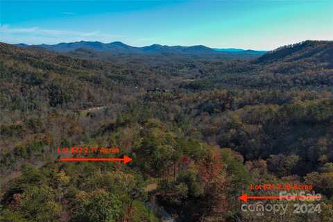 V/L Laurel Branch Drive, Lake Lure, NC 28746