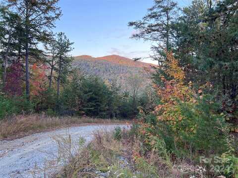 V/L Laurel Branch Drive, Lake Lure, NC 28746