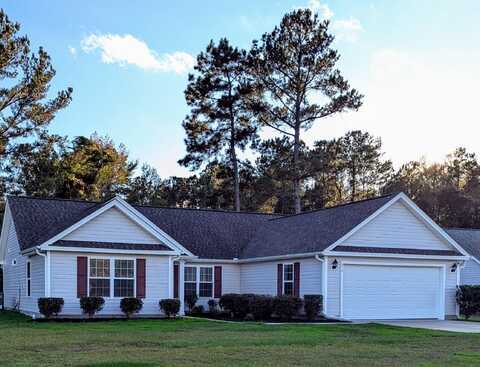 219 Timber Run Drive, Georgetown, SC 29440