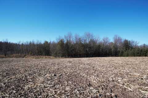 0 COUNTY ROAD Y, BEVENT, WI 54440