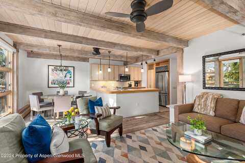 600 E Main Street, Aspen, CO 81611