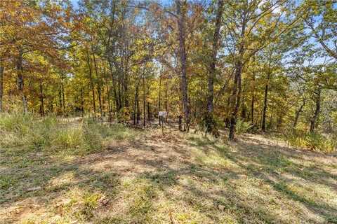 Lot 19 Restore Ridge, Harrison, AR 72601