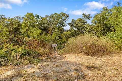 Lot 25 Peaceful PL, Harrison, AR 72601