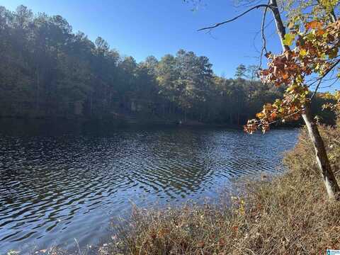 Lot 8 & 9 N SHORE DRIVE, VANCE, AL 35490